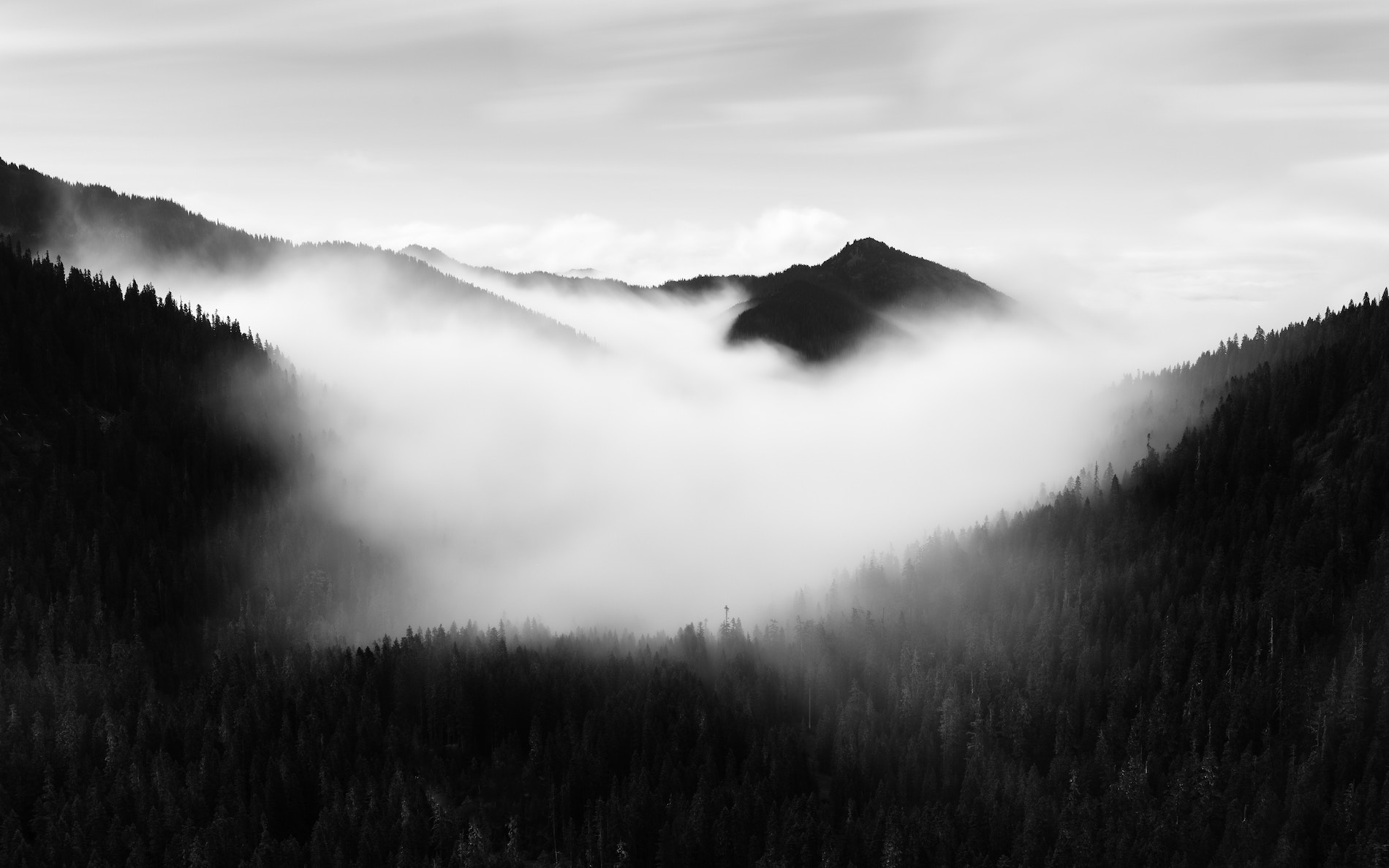 A misty mountain